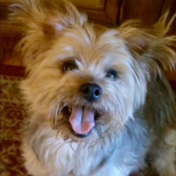 Caroline & Daisy 💕🐶 💕 - Picture 5 of 8